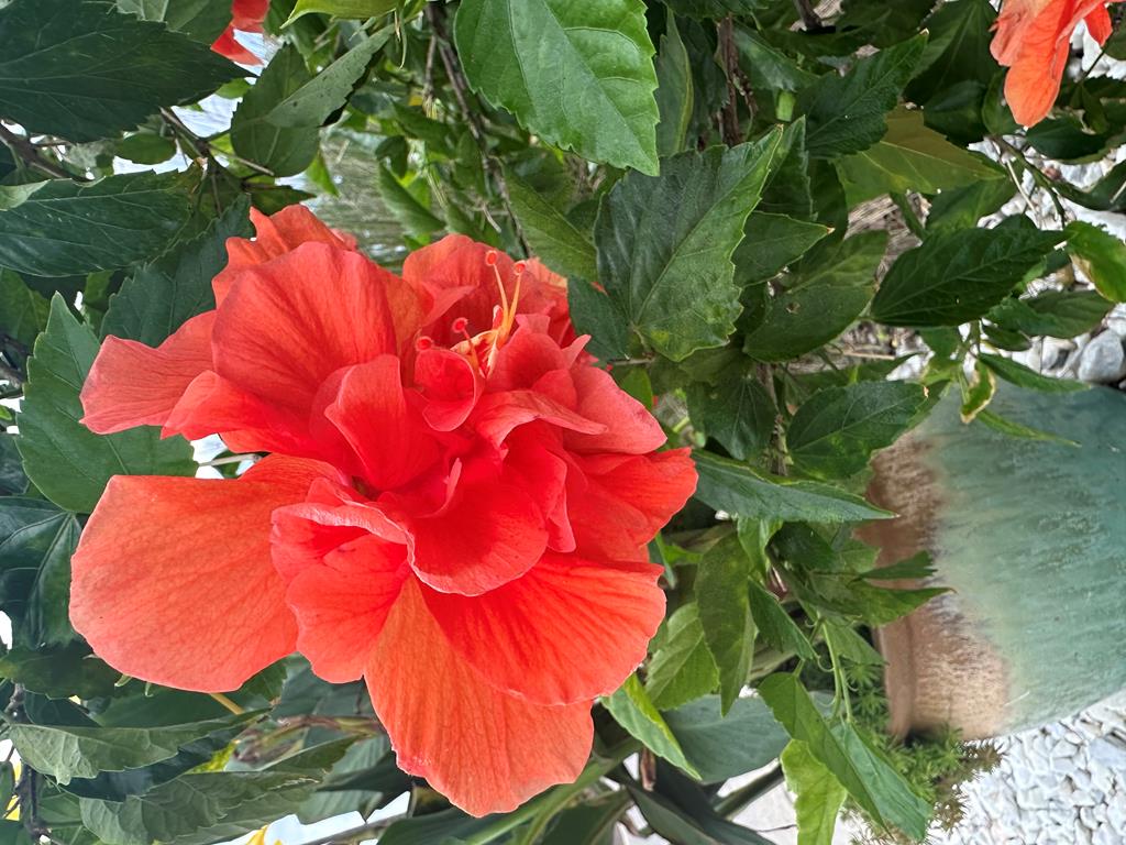 Port St. Joe, Florida, 32456, United States, 3 Bedrooms Bedrooms, ,4 BathroomsBathrooms,Residential,Active,1952399