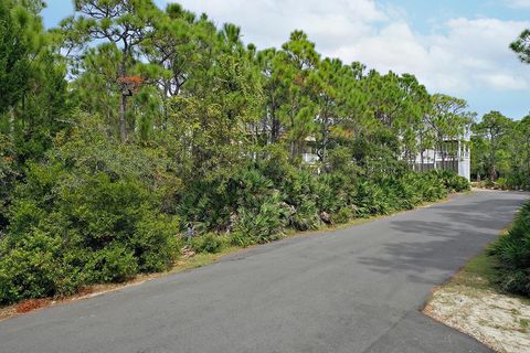 Photo of 1804 Denise Ct, Saint George Island, FL 32328 (MLS # 324325)