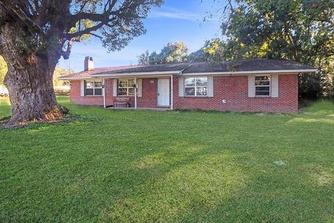 Photo of 264 Bay Ave, Wewahitchka, FL 32465 (MLS # 324750)