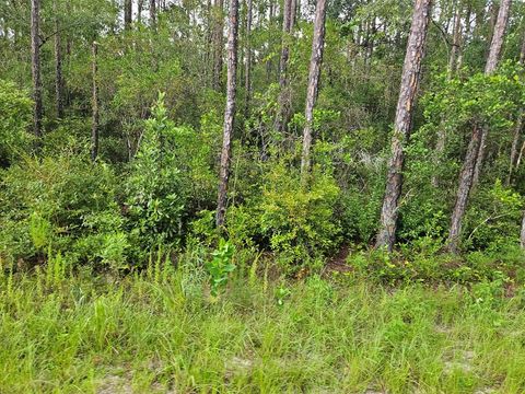 Photo of TBD Mace Martin Rd, Wewahitchka, FL 32465 (MLS # 323866)