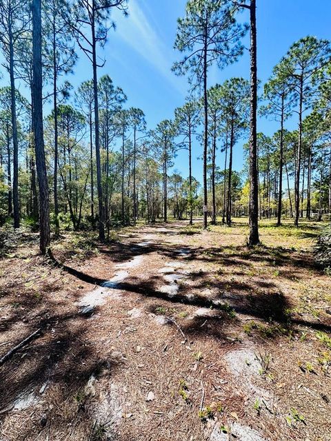 Photo of 321 Baywood Dr, Carrabelle, FL 32322 (MLS # 316944)