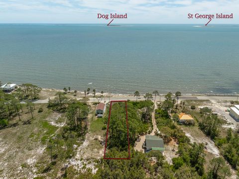 Photo of 2167 Hwy 98, Carrabelle, FL 32322 (MLS # 328057)