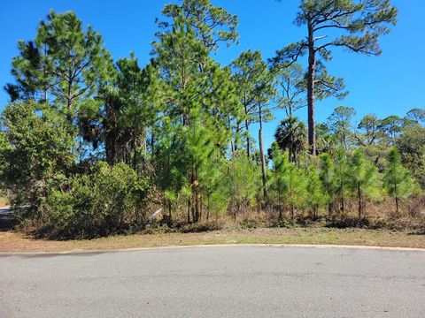 Photo of Lot 13 Sweet Bay Ln, Port Saint Joe, FL 32456 (MLS # 324449)