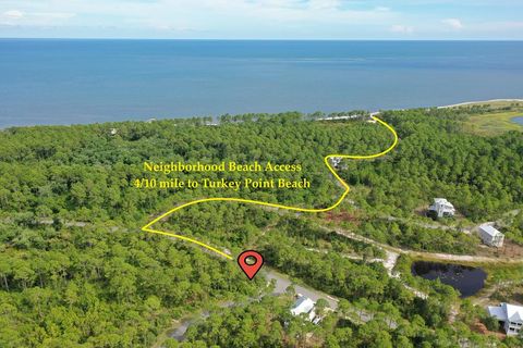 Photo of 134 Fishhook Way, St. Teresa, FL 32358 (MLS # 322711)