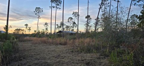 Photo of 9641 Cr 386 N, Wewahitchka, FL 32465 (MLS # 324844)