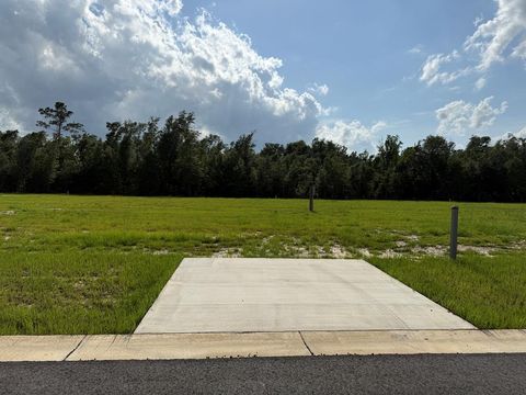 Photo of 121 Kiera Ct, Wewahitchka, FL 32465 (MLS # 328736)