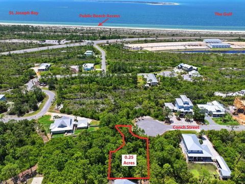 Photo of 112 Conch St, Port Saint Joe, FL 32456 (MLS # 321857)