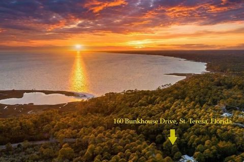 Photo of 160 Bunkhouse Dr, St. Teresa, FL 32358 (MLS # 325055)