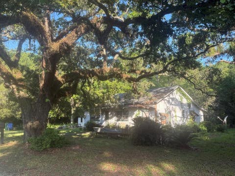 Photo of 162 Ave L, Apalachicola, FL 32320 (MLS # 328634)