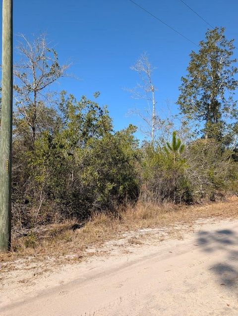 Photo of 846-7B Hickory Hammock Rd, Carrabelle, FL 32322 (MLS # 326381)