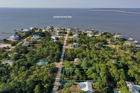 Photo of 315 Howell St, Saint George Island, FL 32328 (MLS # 319860)