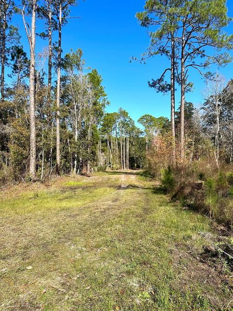 Photo of 182 Smith Rd, Apalachicola, FL 32320 (MLS # 320382)