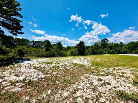 Photo of 183 Lakes on the Bluff Dr, Eastpoint, FL 32328 (MLS # 328344)