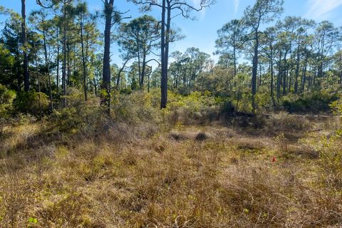 Photo of 1279 Avocet Ln, Saint George Island, FL 32328 (MLS # 325029)