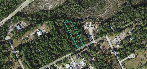 Photo of 2629 Oak St, Carrabelle, FL 32322 (MLS # 317117)