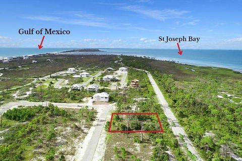 Photo of 135 Hemmingway CR Cir, Port Saint Joe, FL 32456 (MLS # 324805)