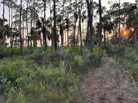 Photo of 2375 Sr 30-A, Port Saint Joe, FL 32456 (MLS # 321620)