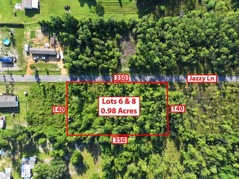 Photo of 135&157 Jazzy Lane, Wewahitchka, FL 32465 (MLS # 322439)
