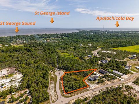 Photo of 303 Hibiscus Ln, Eastpoint, FL 32328 (MLS # 328628)