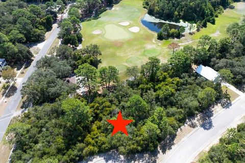 Photo of 110 Spoonbill Ct, Carrabelle, FL 32323 (MLS # 324081)