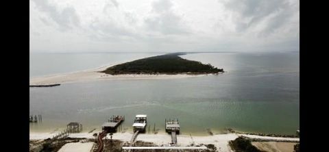 Photo of 2300 Tally Ho Rd, Saint George Island, FL 32328 (MLS # 321420)