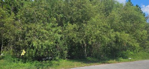 Photo of 905 NE 6th St, Carrabelle, FL 32322 (MLS # 323810)