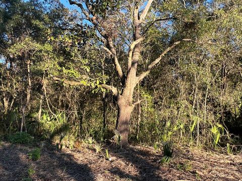 Photo of TBD Otter Lake Rd, Panacea, FL 32346 (MLS # 324732)
