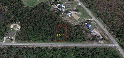 Photo of Lot 3 Mitchel Rd, Wewahitchka, FL 32465 (MLS # 320349)