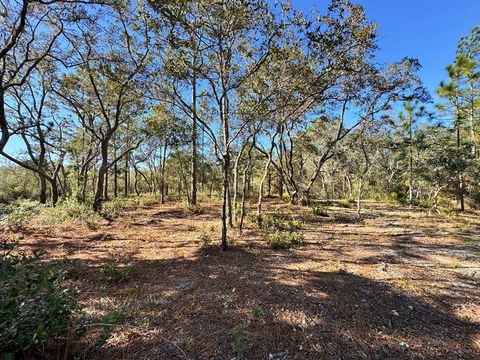 Photo of Lot 10 Francis Dr, Panacea, FL 32446 (MLS # 324533)