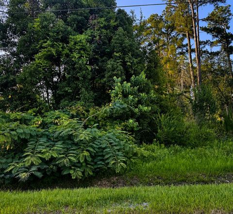Photo of Lot 10 Chipola Ave, Wewahitchka, FL 32465 (MLS # 328682)