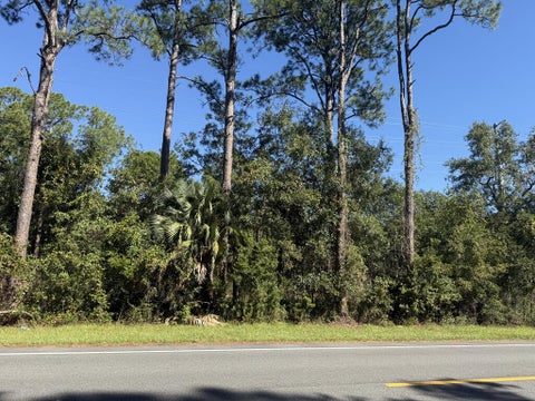 Photo of 3 Marks St, Apalachicola, FL 32320 (MLS # 329811)