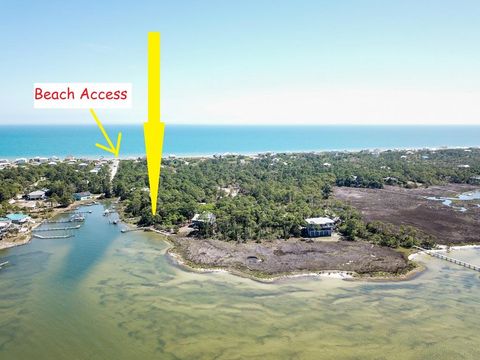 Photo of 1239 Avocet Ln, Saint George Island, FL 32328 (MLS # 324802)