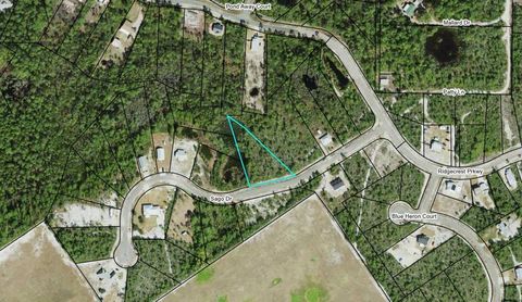 Photo of 269 Sago Dr, Eastpoint, FL 32328 (MLS # 324018)