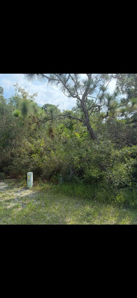 Photo of 110 Anhinga Trl, Carrabelle, FL 32322 (MLS # 308100)