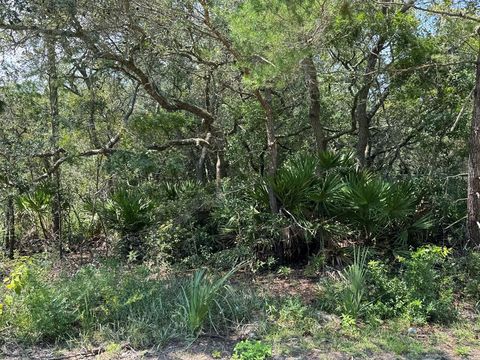 Photo of 119 Iowa St, Lanark Village, FL 32323 (MLS # 321946)