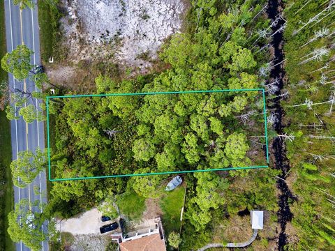 Photo of TBD Sr 30-A, Port Saint Joe, FL 32456 (MLS # 328337)