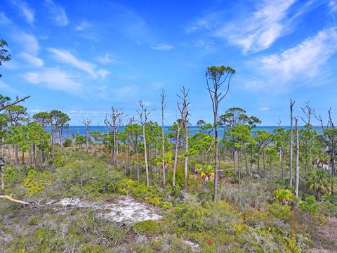 Photo of Parcel B Cape San Blas Rd, Cape San Blas, FL 32456 (MLS # 326272)