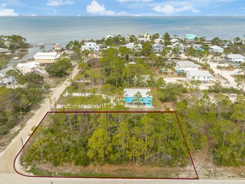 Photo of 741 W Bay Shore Dr, Saint George Island, FL 32328 (MLS # 320953)