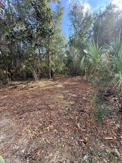 Photo of Lot 30 Oak St, Lanark Village, FL 32323 (MLS # 324753)