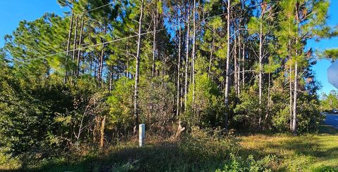 Photo of 901 NE 6th St, Carrabelle, FL 32322 (MLS # 320198)