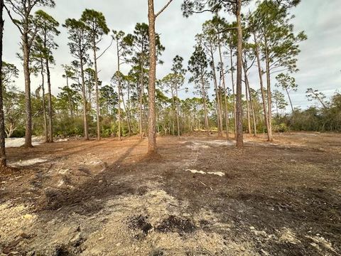 Photo of Lot 12 Watermark Way, Port Saint Joe, FL 32456 (MLS # 323876)