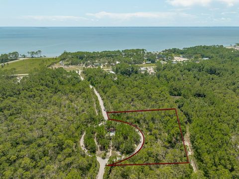 Photo of 47 Piney Point Ln, Eastpoint, FL 32328 (MLS # 323891)