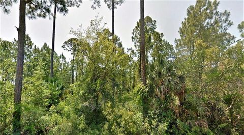 Photo of 14 Cr 30-A, Port Saint Joe, FL 32456 (MLS # 324095)