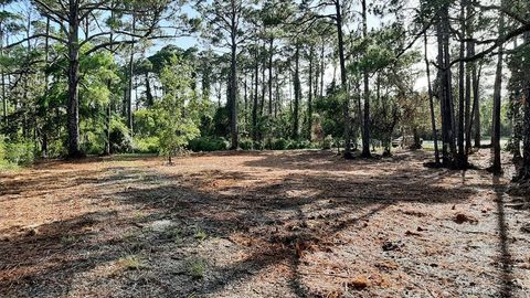 Photo of 2970 Pristine Dr, Carrabelle, FL 32322 (MLS # 326375)
