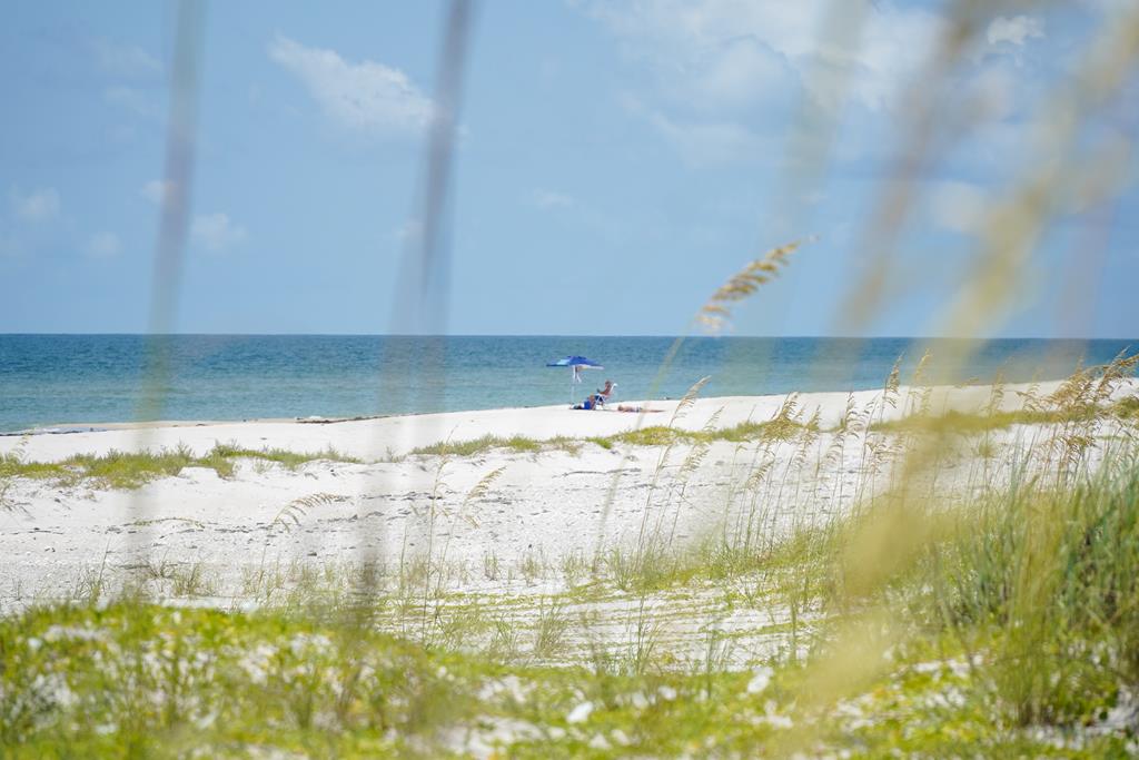 2311 Tally Ho Rd, St. George Island, FL, 32328, US, 5 Bedrooms Bedrooms, ,6 BathroomsBathrooms,Residential,Active,2311 Tally Ho Rd,1667397