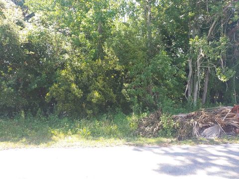 Photo of 131 Ave F, Apalachicola, FL 32320 (MLS # 322529)