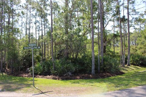 Photo of 278 Magnolia Bay Dr, Eastpoint, FL 32328 (MLS # 328183)