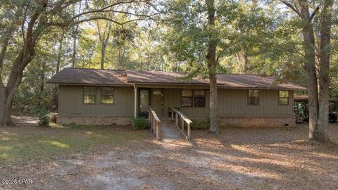 Photo of 19076 Oak Hill Dr, Blountstown, FL 32424 (MLS # 324649)