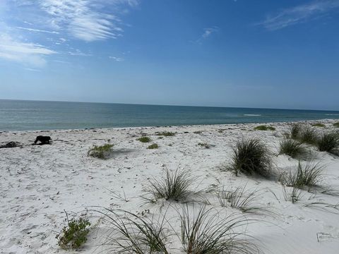 Photo of 114 Cocina Rd, Carrabelle, FL 32322 (MLS # 328228)