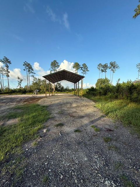 Photo of 6302 Doc Whitfield Rd, Wewahitchka, FL 32465 (MLS # 324893)